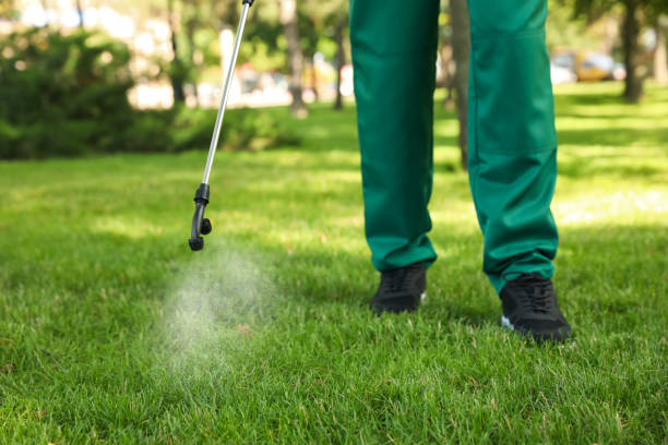 Best Pest Removal Services  in Shafter, CA