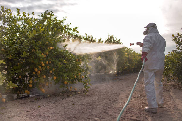 Best Pest Prevention Services  in Shafter, CA