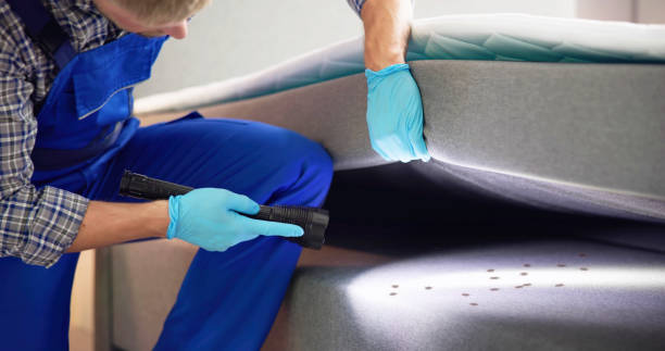 Best Residential Pest Control  in Shafter, CA