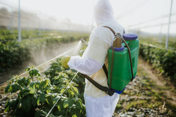 Best Spider Control Near Me  in Shafter, CA